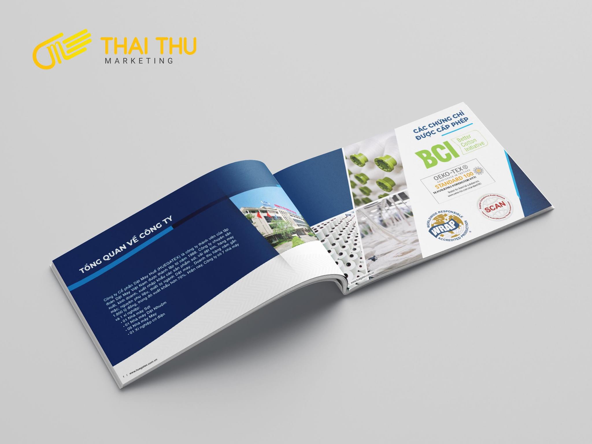 Thiết kế Company Profile Công ty sợi BCI