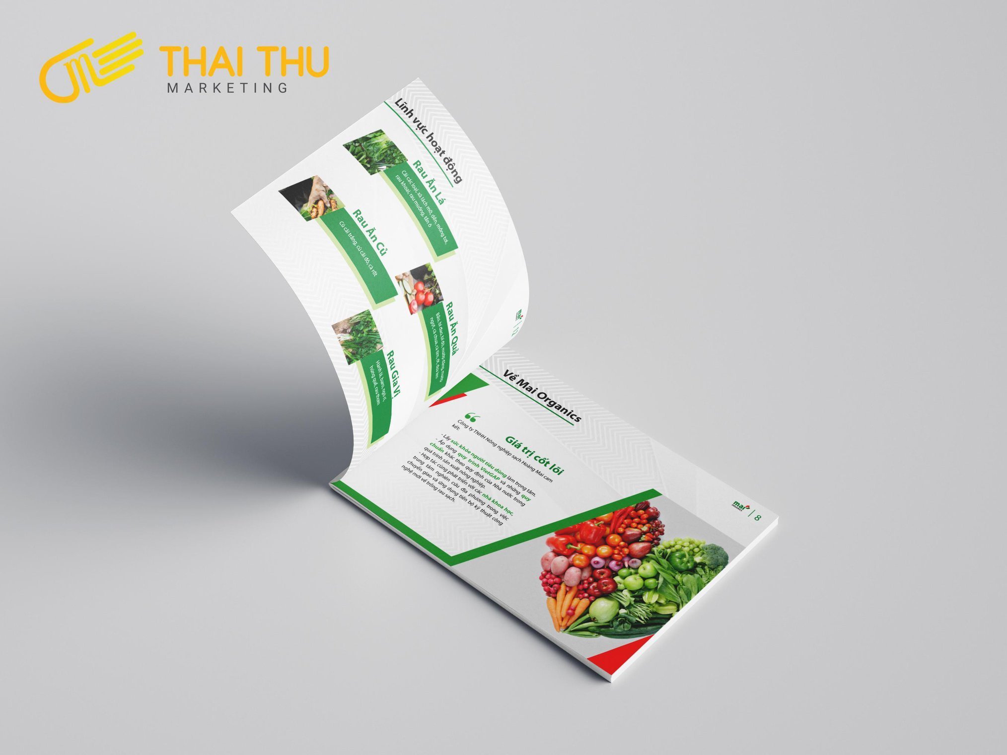 Mẫu thiết kế Profile Mai Organic do Thai Thu Marketing thực hiện