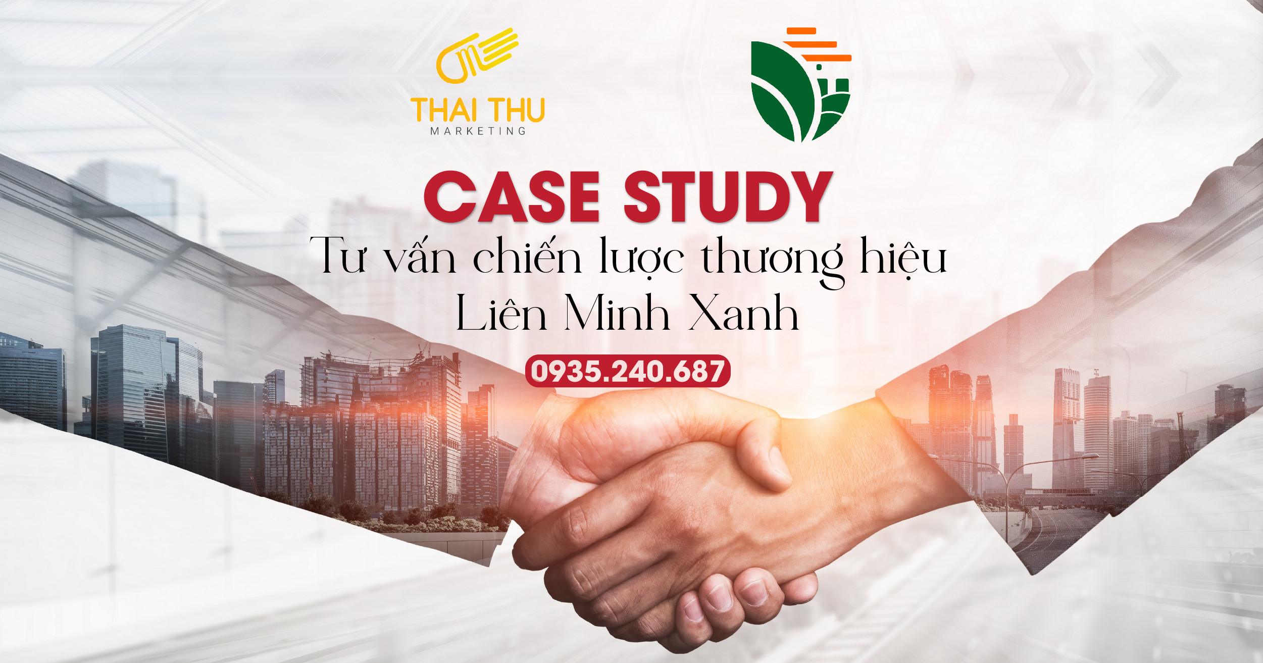 CASE STUDY: TƯ VẤN CHIẾN LƯỢC THƯƠNG HIỆU TINH DẦU HUẾ - LIÊN MINH XANH